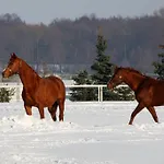 Sielanka Nad Pilicą 4*