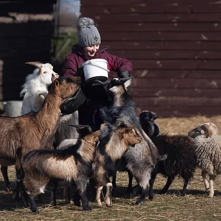 Sielanka Nad Pilica Hotel 4*