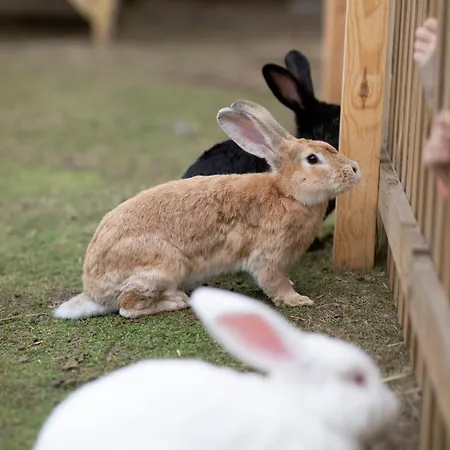 Hotel Sielanka Nad Pilica