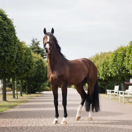 Sielanka Nad Pilica Hotel