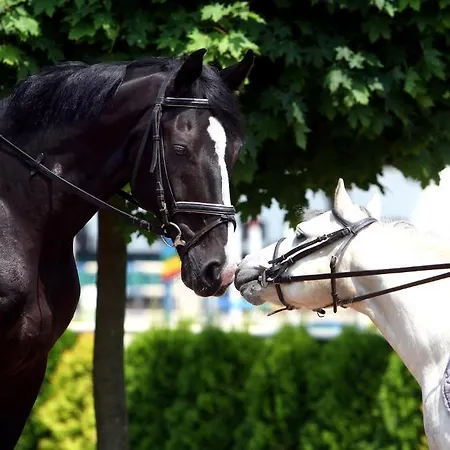 Sielanka Nad Pilica 4* Warka