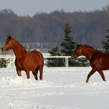 Sielanka Nad Pilica 4*