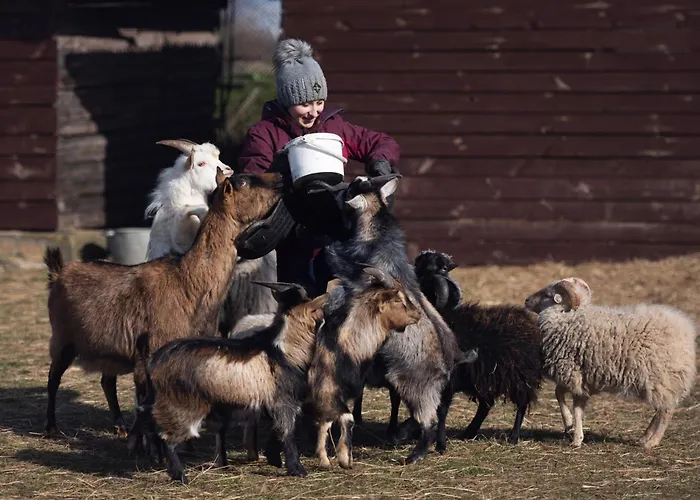 Sielanka Nad Pilicą Hotel 4*
