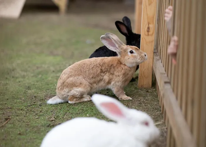 Hotel Sielanka Nad Pilicą