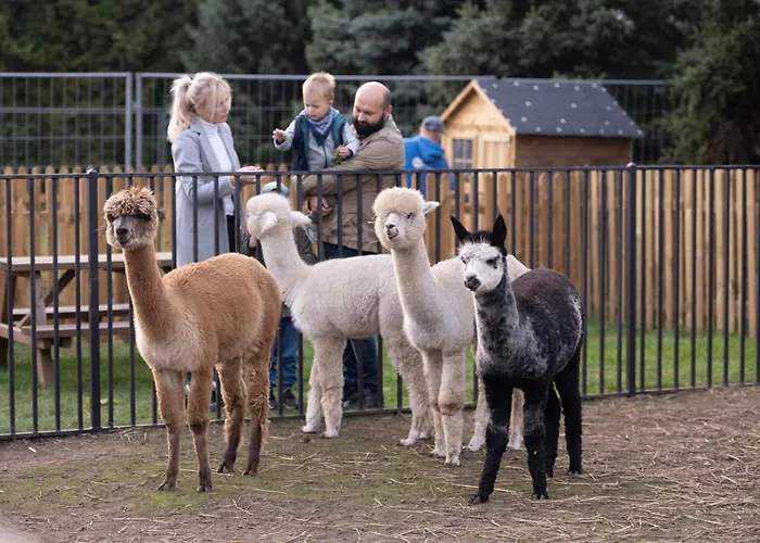 Sielanka Nad Pilicą Hotel 4*