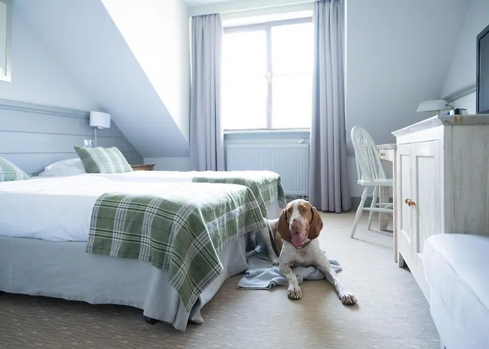 Sielanka Nad Pilicą Warka