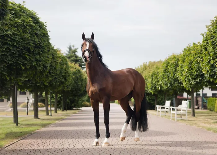 Sielanka Nad Pilicą Hotel