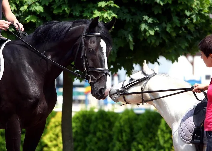 Sielanka Nad Pilicą 4* Warka
