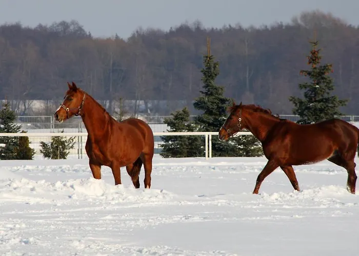 Sielanka Nad Pilicą 4*